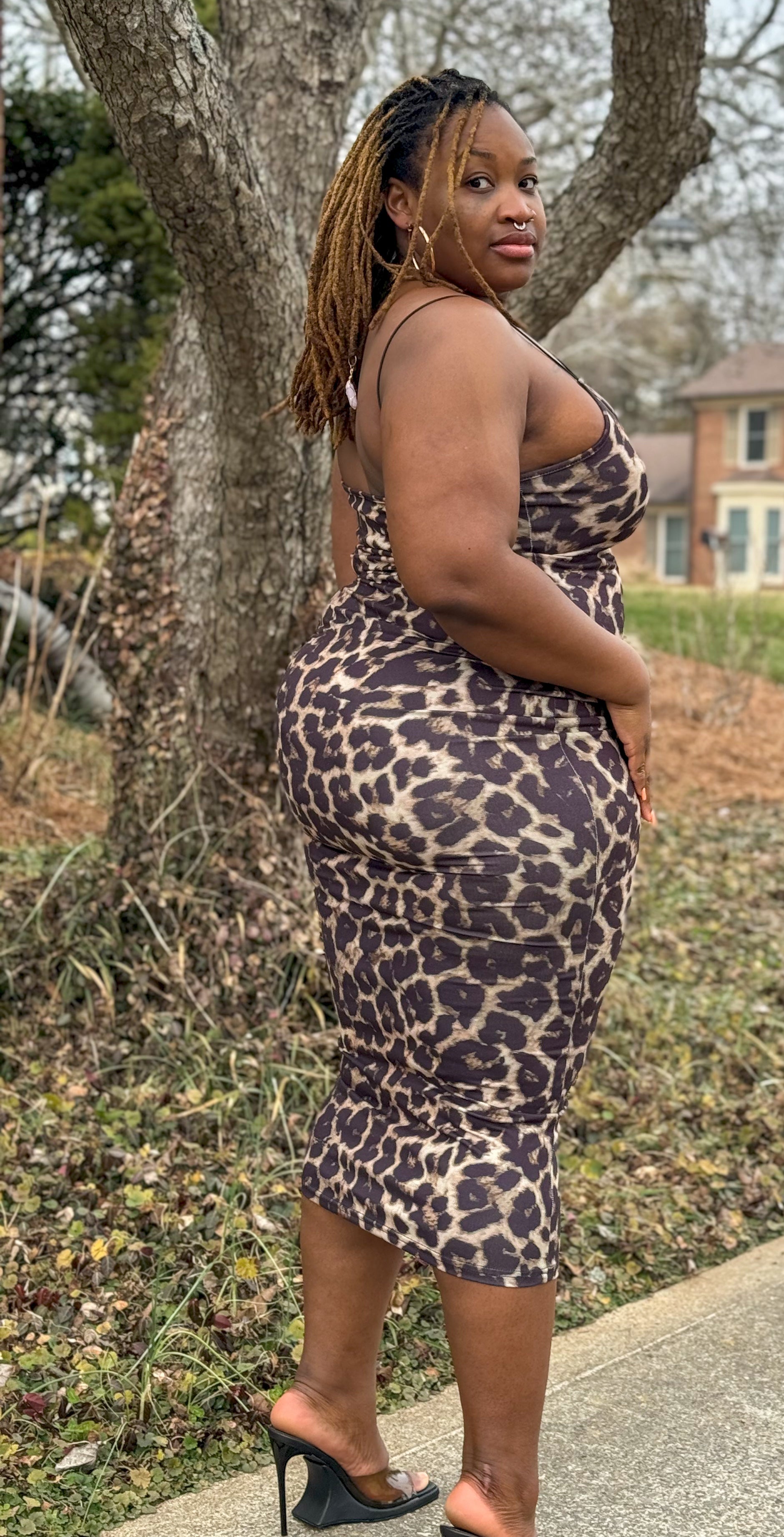 Wild Side Animal Print V-Neck Dress